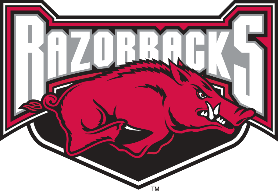 Arkansas Razorbacks 2001-2008 Alternate Logo v2 iron on transfers for clothing...